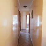 Appartement Seynoise *
